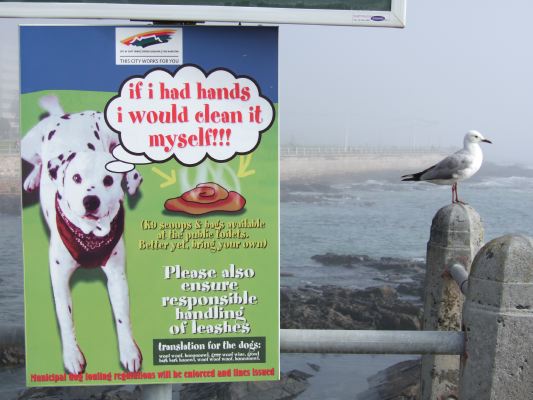 05-08-06 cape town035