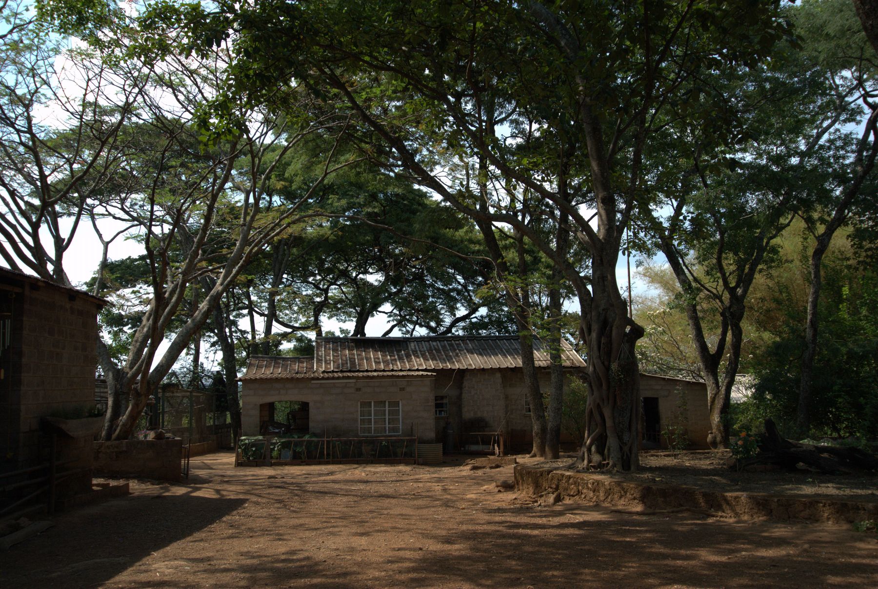 (C) BUBU 2007